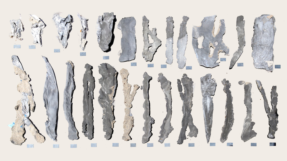 アンサンブル スタジオ展 Architecture Of The Earth Totoギャラリー 間 Art It アートイット アンサンブル スタジオ展 Architecture Of The Earth Totoギャラリー 間 Art It アートイット