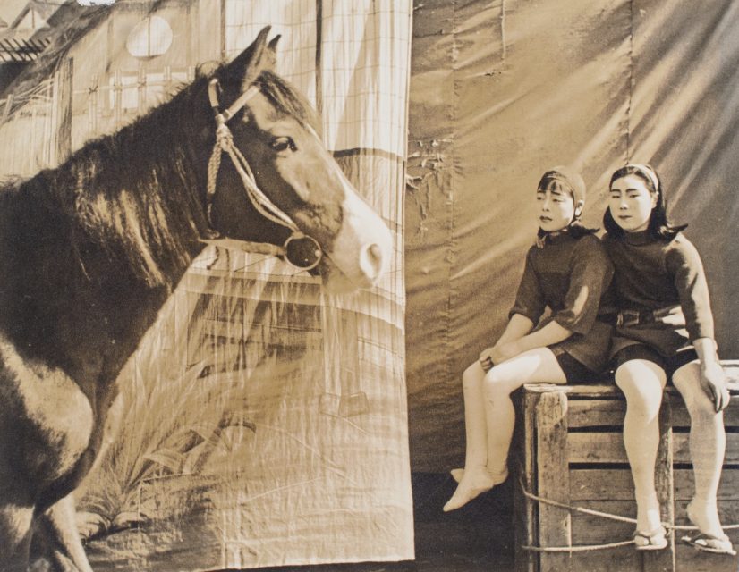 生誕120年 安井仲治ー僕の大切な写真 - 兵庫県立美術館 - ART iT