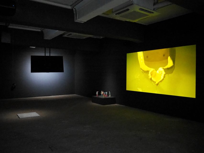 OPEN SITE 8 Part 1 Arts Collective: Time Flies Over Us But Leaves Its Shadow Behind @ Tokyo Arts and Space Hongo