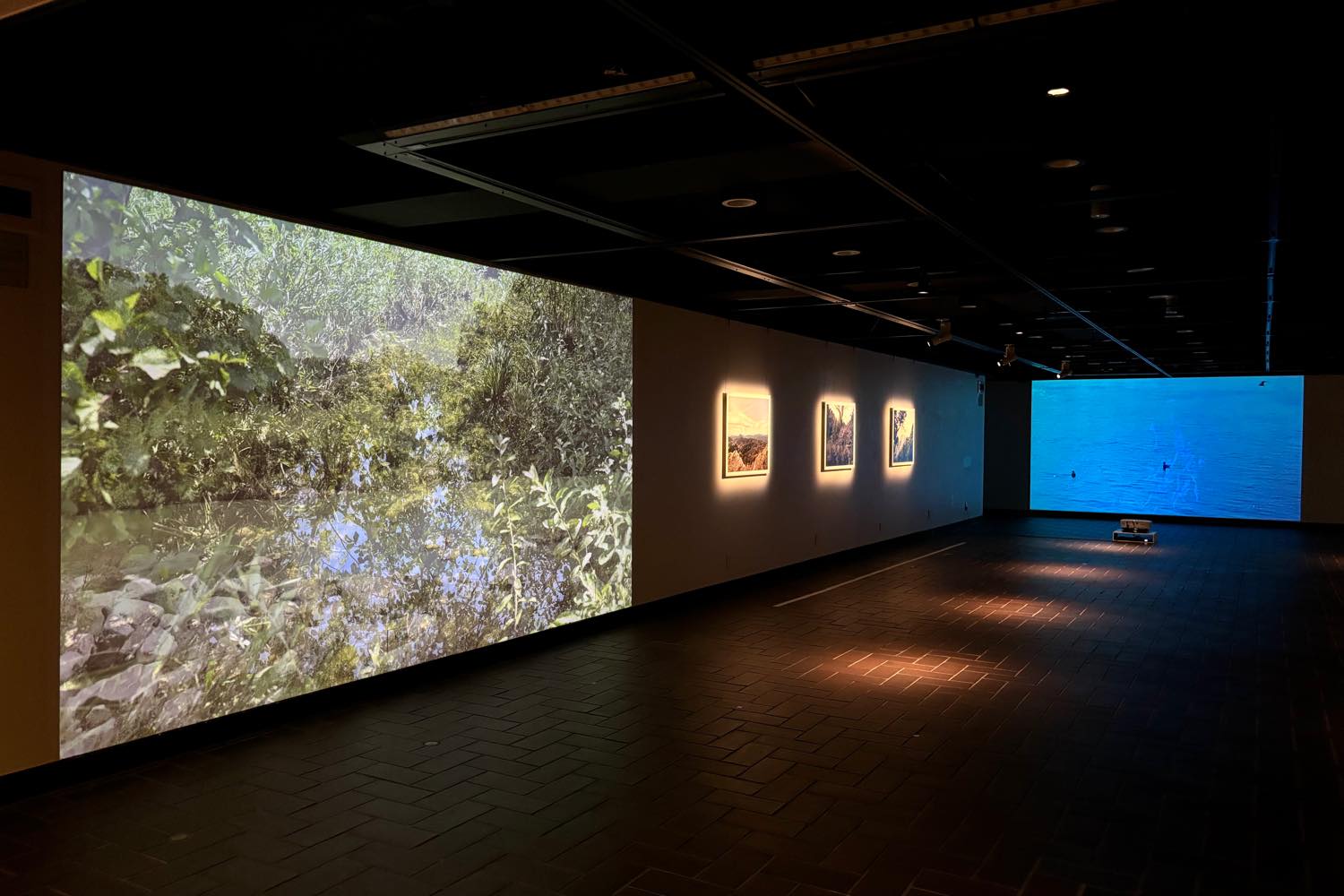 都美セレクション グループ展 2024 回遊する風景 @ 東京都美術館