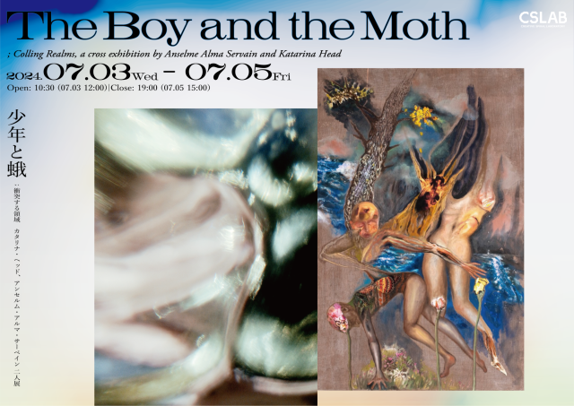 The Boy and the Moth ポスター。 タイトルと、アンセルムの抽象的な写真、カタリナの人型のようなモチーフが見えるコラージュ作品が大きく配置されている