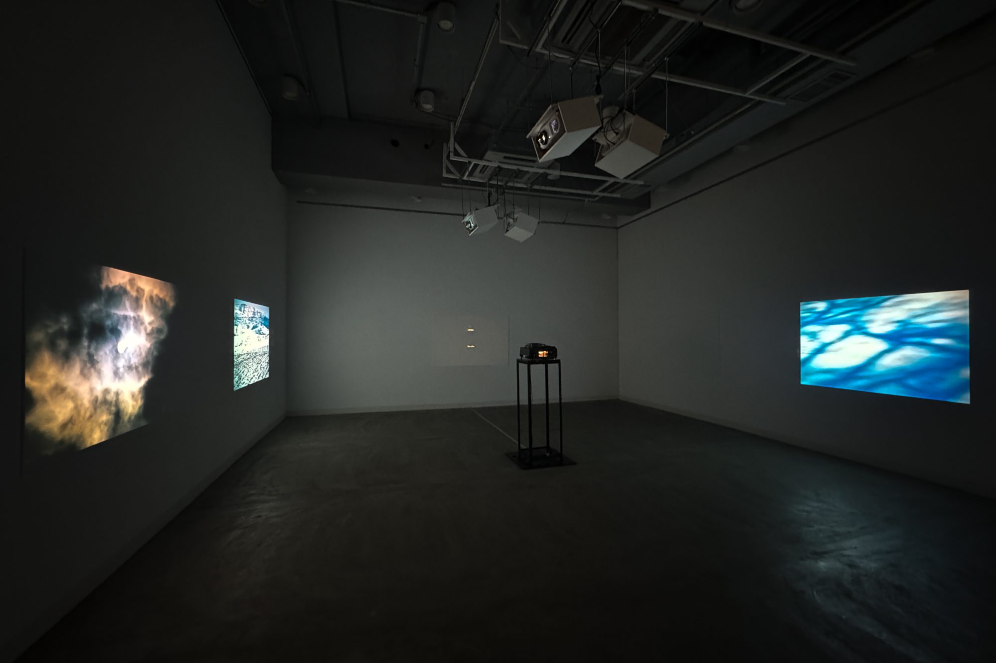 新・今日の作家展2024 あなたの中のわたし @ 横浜市民ギャラリー