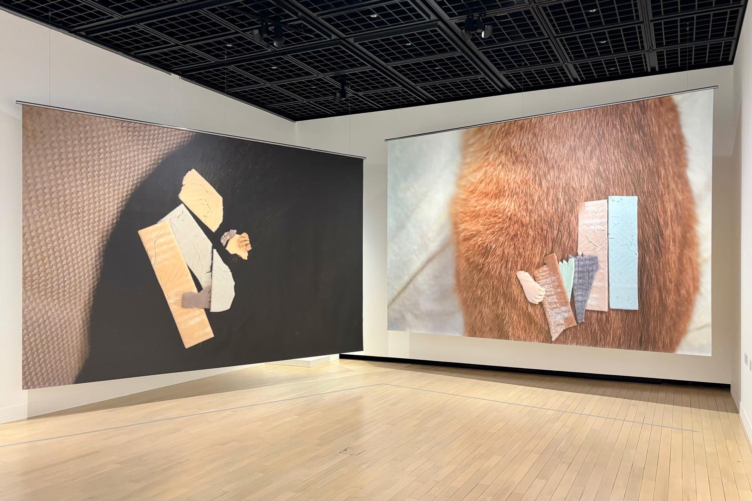 現在地のまなざし 日本の新進作家 vol.21 @ 東京都写真美術館