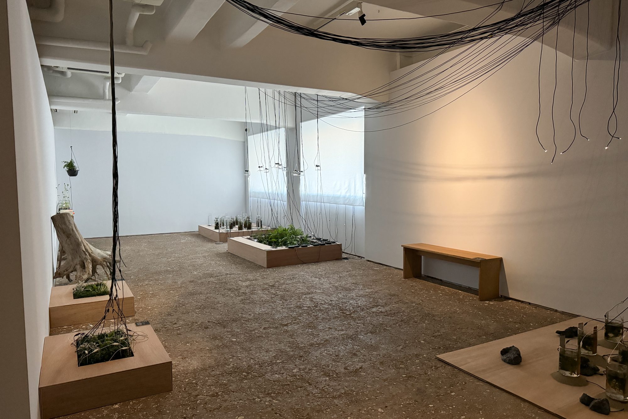 OPEN SITE 9 Part 2 滝戸ドリタ：Energeia Cycle 分解と循環のエネルゲイア @ トーキョーアーツアンドスペース本郷