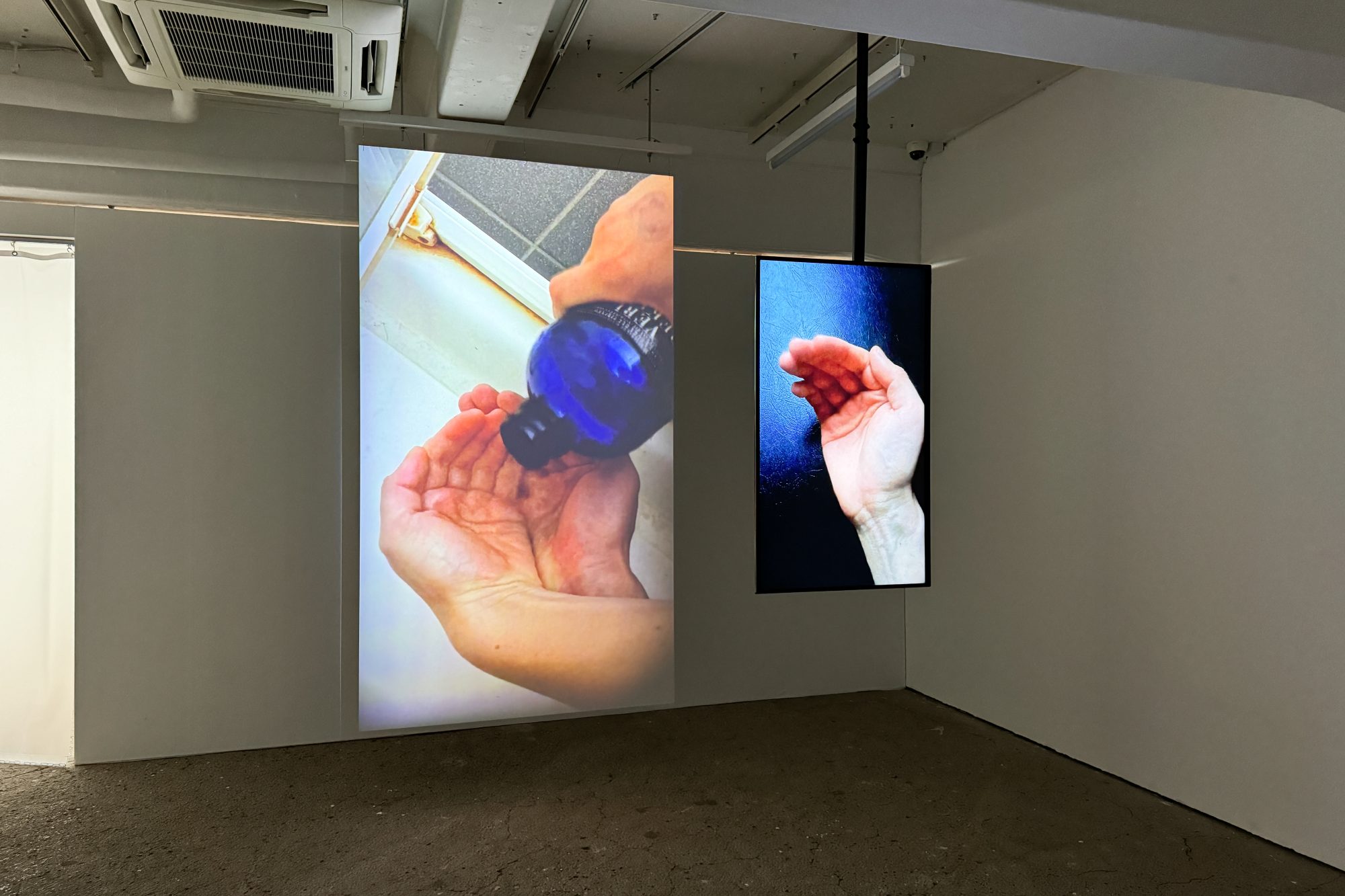 ACT (Artists Contemporary TOKAS) Vol. 7「複数形の身体」 @ トーキョーアーツアンドスペース本郷