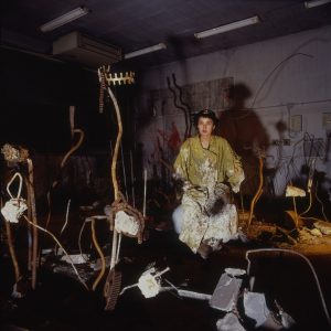 Jan Fabre / ヤン・ファーブル ヤン・ファーブル作品集: JAN FABRE: FROM THE CELLER TO THE ATTIC