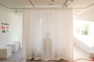 さわひらきhiraki Sawa LINEAMENT資生堂銀座展覧会43/300 さわひらき展 Lineament @ 資生堂ギャラリー - ART iT（アートイット）
