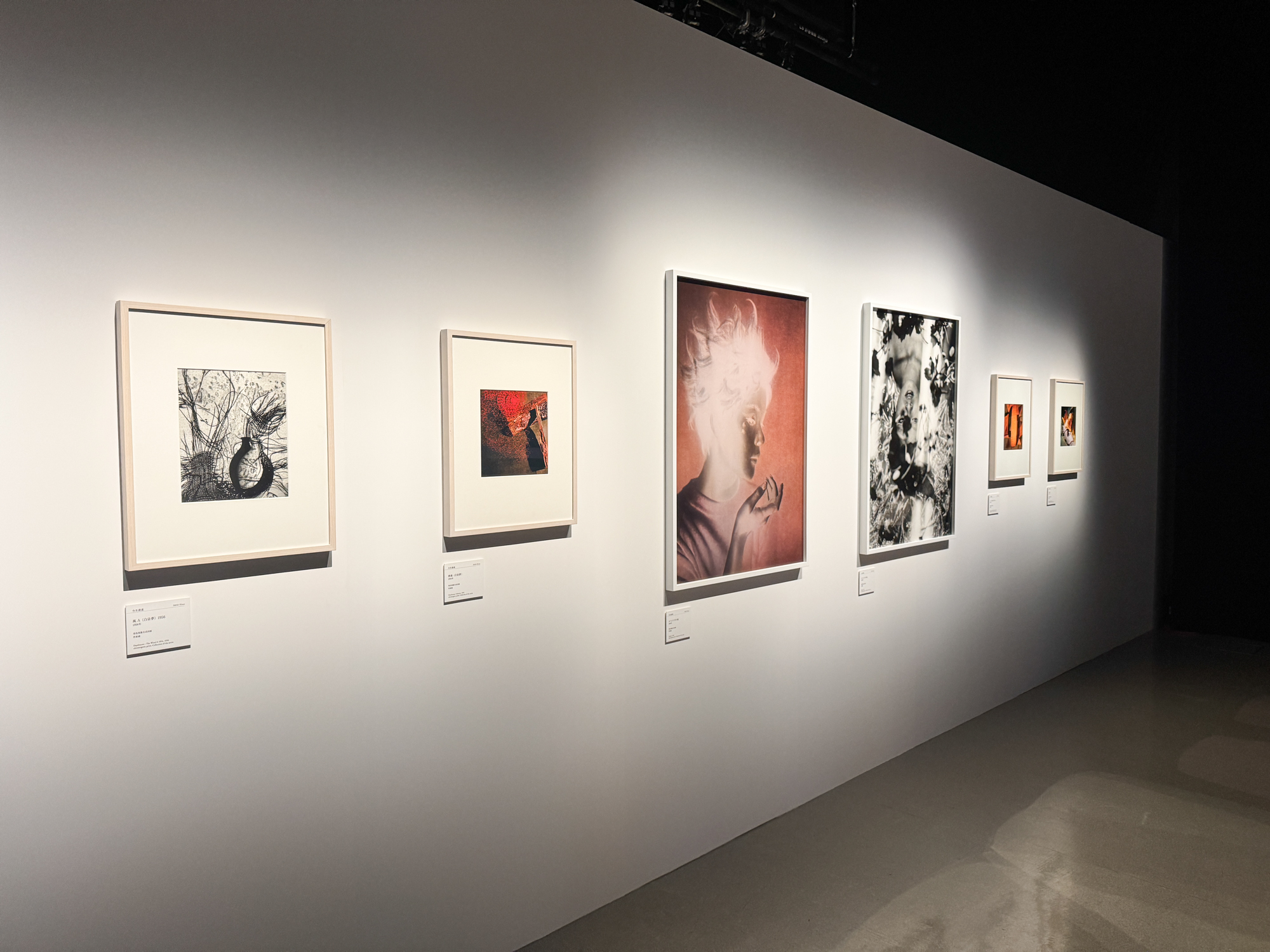展示風景「まなざしの奇跡　日本女性写真家の冒険」ヒカリエホール、東京、2026年