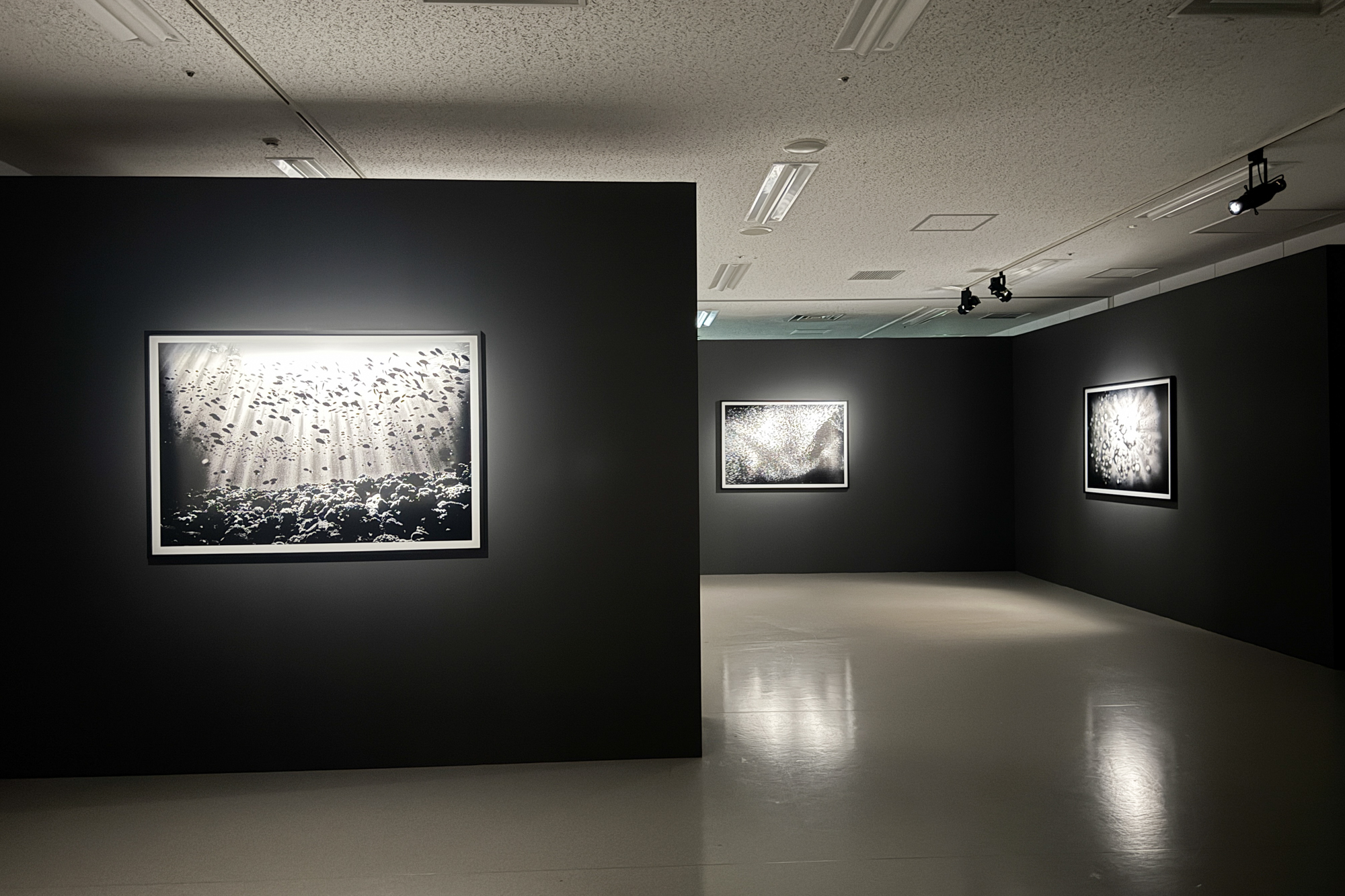 展示風景「まなざしの奇跡　日本女性写真家の冒険」ヒカリエホール、東京、2026年