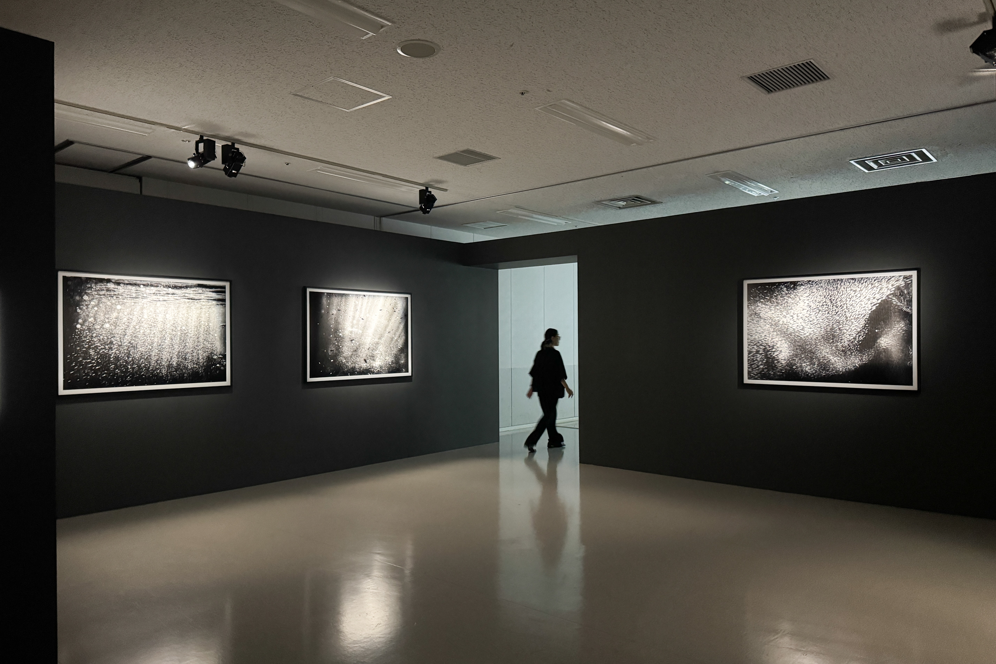 展示風景「まなざしの奇跡　日本女性写真家の冒険」ヒカリエホール、東京、2026年