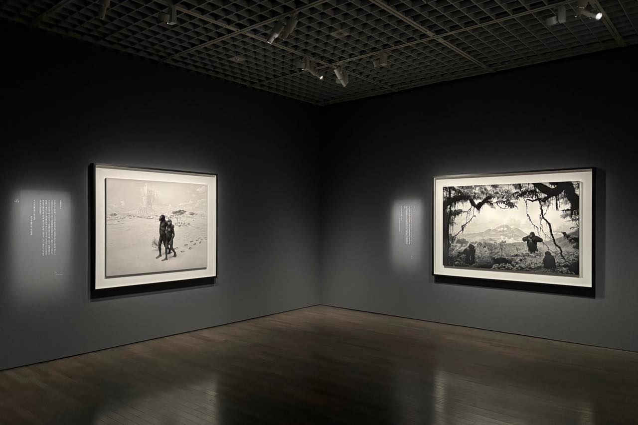 Hiroshi Sugimoto (From left to right), Earliest Human Relatives (1994), Gorilla (1994) © Hiroshi Sugimoto / Courtesy of Gallery Koyanagi