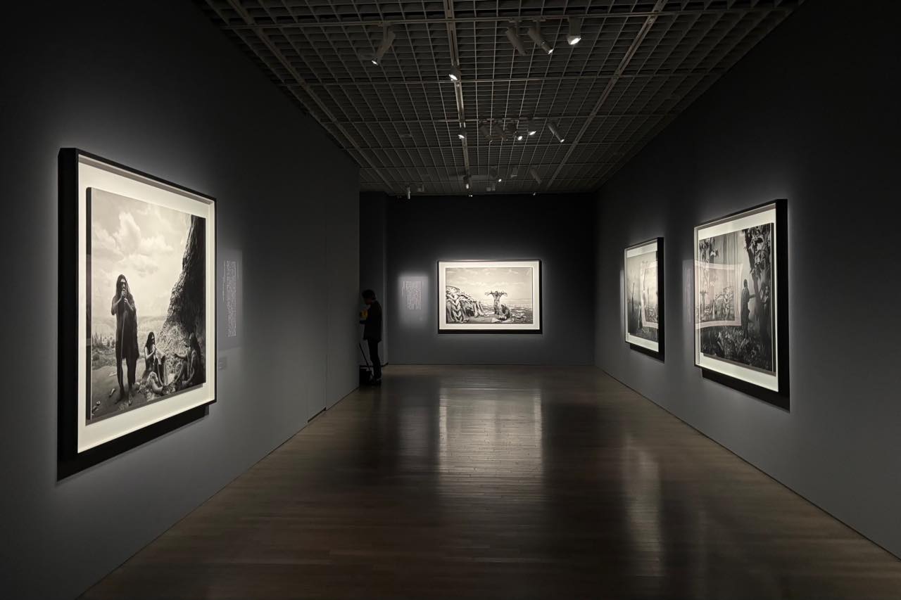 Dioramas, Installation view HIROSHI SUGIMOTO: EXTINCTION, The National Museum of Modern Art, Tokyo, Tokyo, 2026 © Hiroshi Sugimoto / Courtesy of Gallery Koyanagi