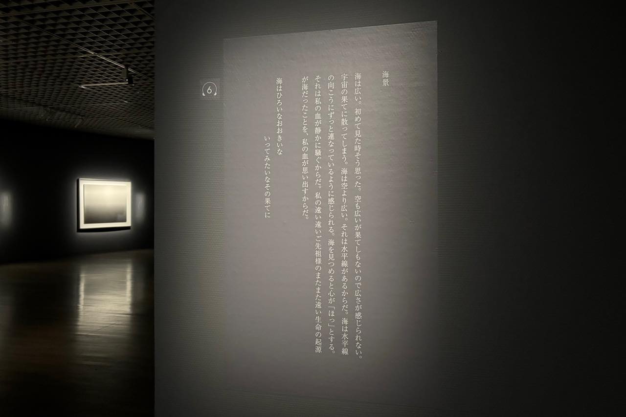 Installation view HIROSHI SUGIMOTO: EXTINCTION, The National Museum of Modern Art, Tokyo, Tokyo, 2026 © Hiroshi Sugimoto / Courtesy of Gallery Koyanagi