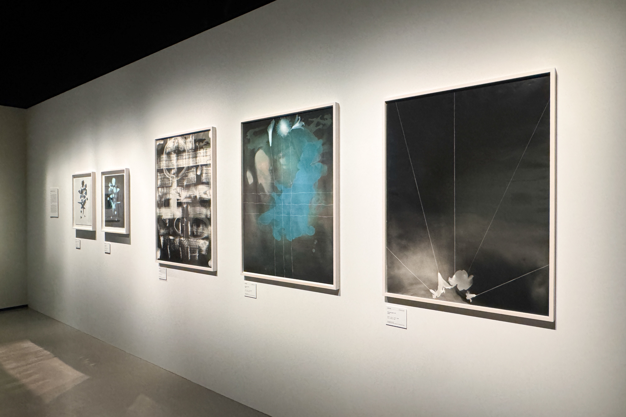 展示風景「まなざしの奇跡　日本女性写真家の冒険」ヒカリエホール、東京、2026年
