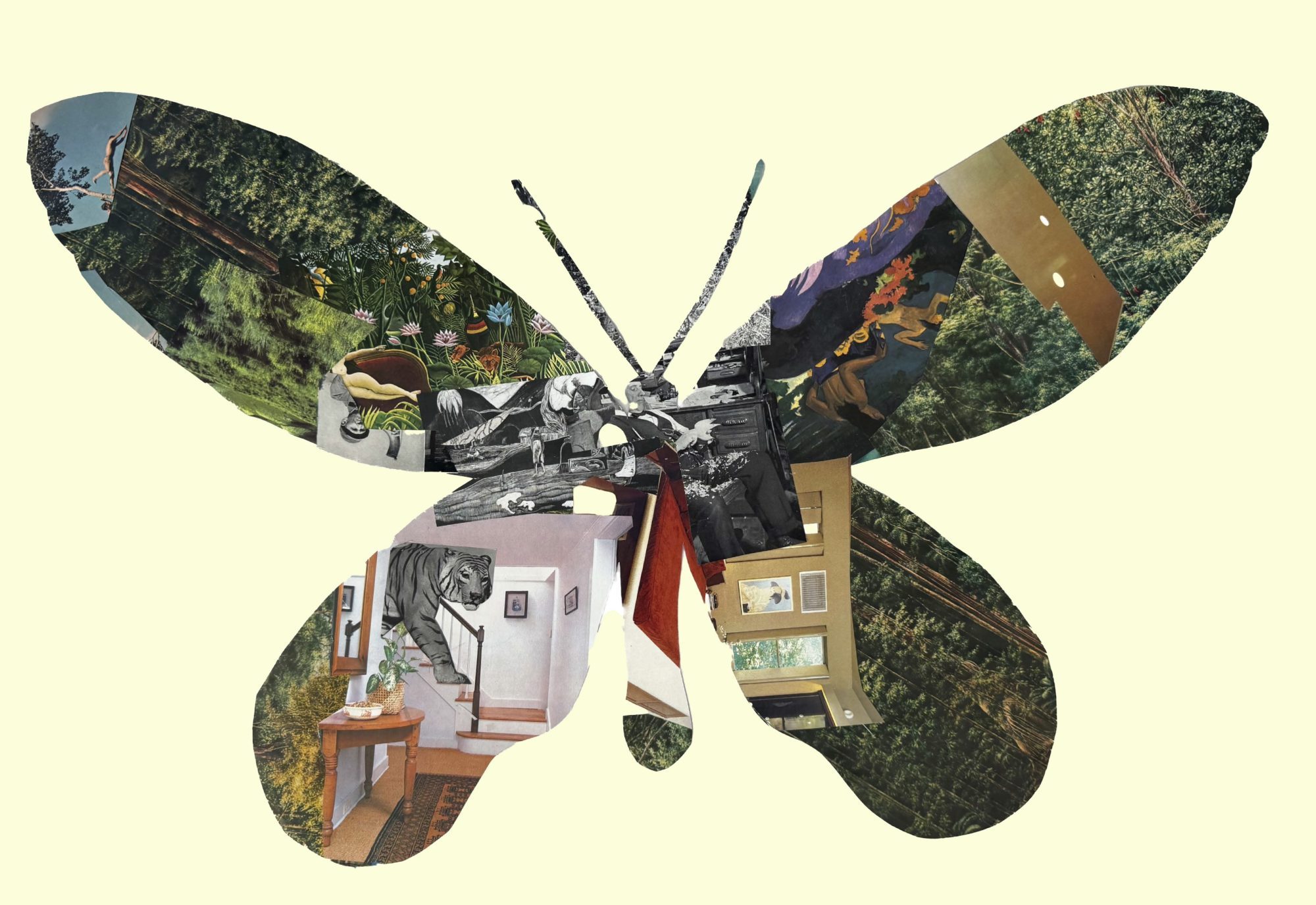 Alan Sonfist, Queen Alexandra’s Birdwing Meeting Paul Gauguin, 2012-2025. © Alan Sonfist, Courtesy of Yumiko Chiba Associates