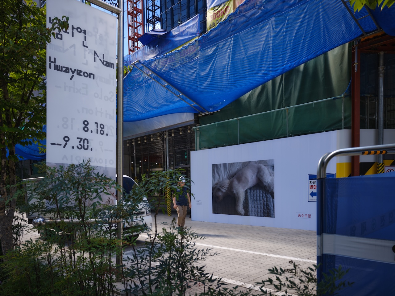 ナム・ファヨンの個展「昼寝」が行なわれていたソウルの一宇美術館の入口付近の風景。作品：ナム・ファヨン《When we are not there》（制作年未詳）撮影：三嶋一路