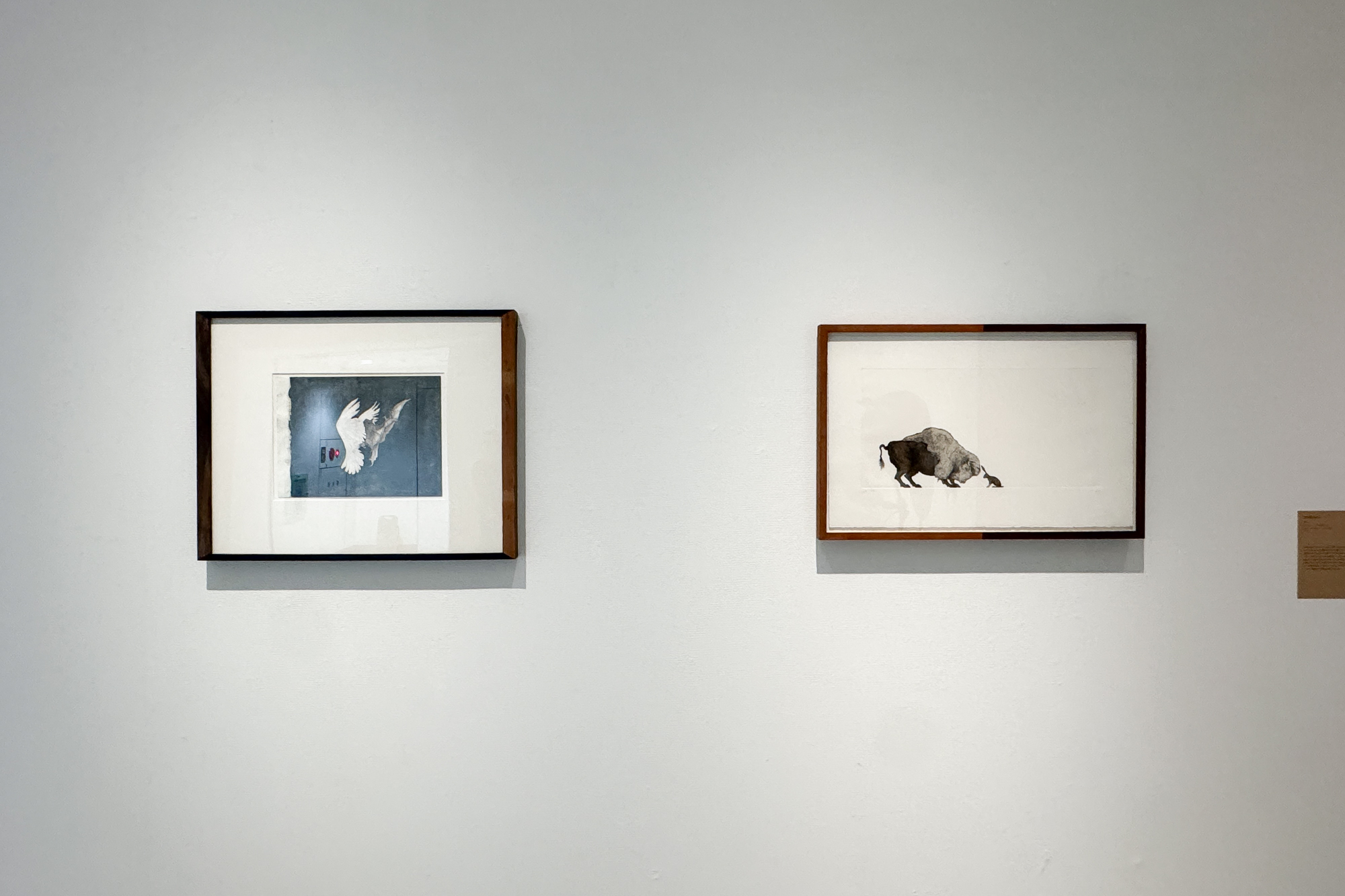 (from left) Mel Chin, Bat and Dove (2007); Self-Portrait (Bison and Hare) (1996)
