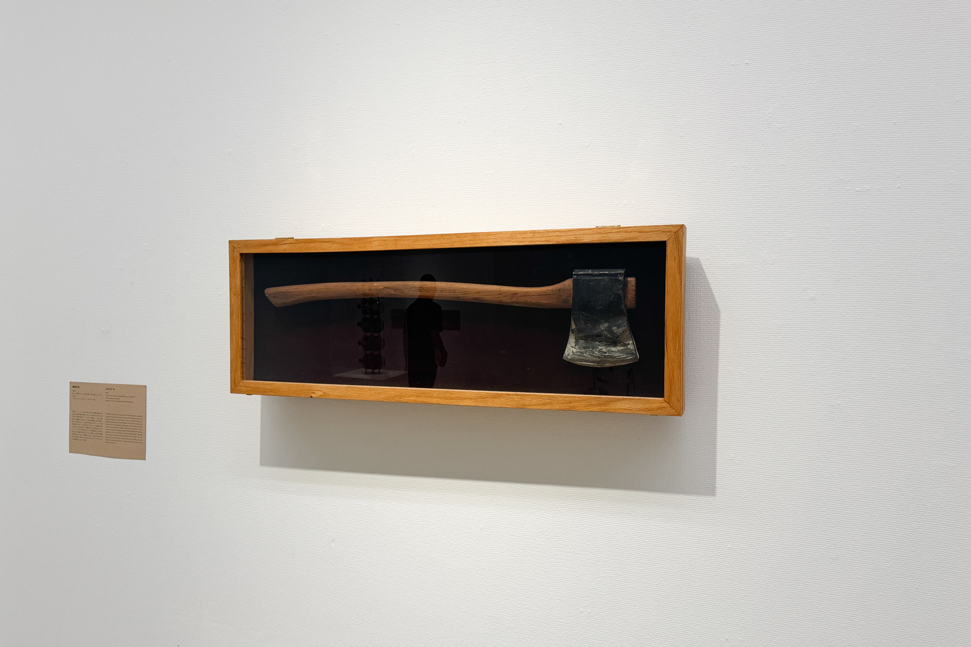 Mel Chin, Lecture Ax (1988)