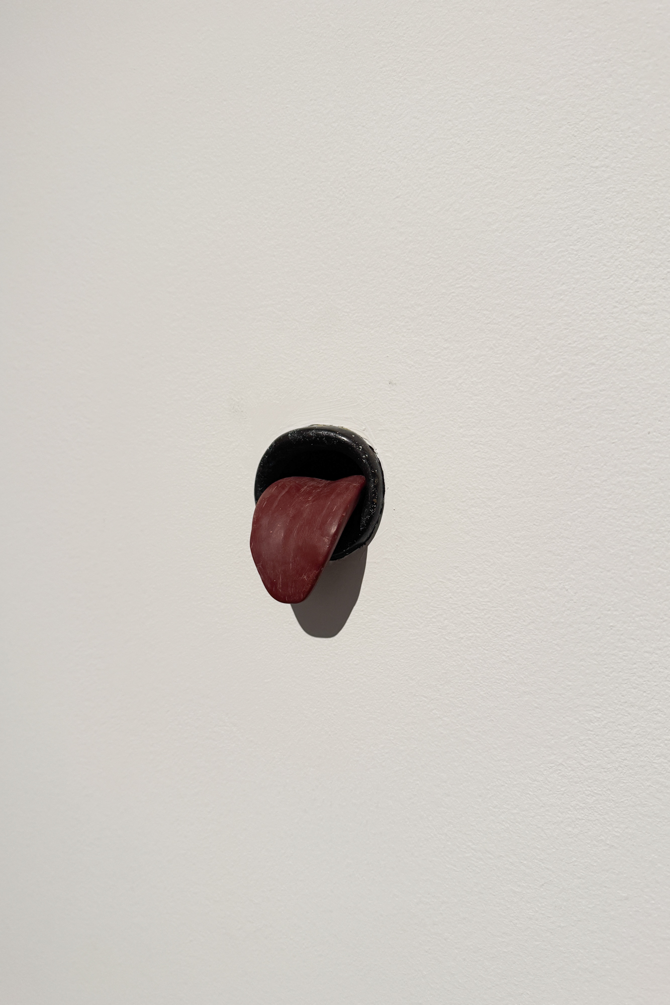 Mel Chin, Shape of a Lie (2006)